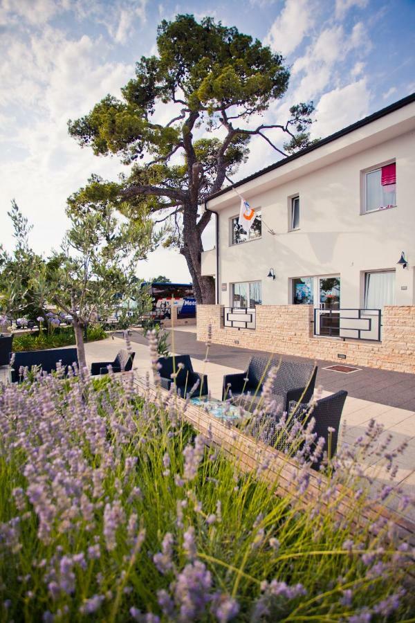 Hi Hostel זאדאר מראה חיצוני תמונה